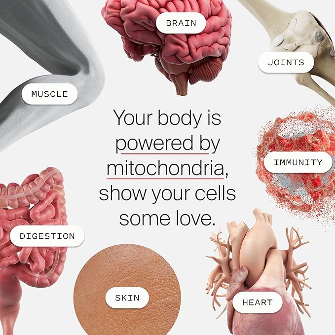 Mitopure Softgels Urolithin A